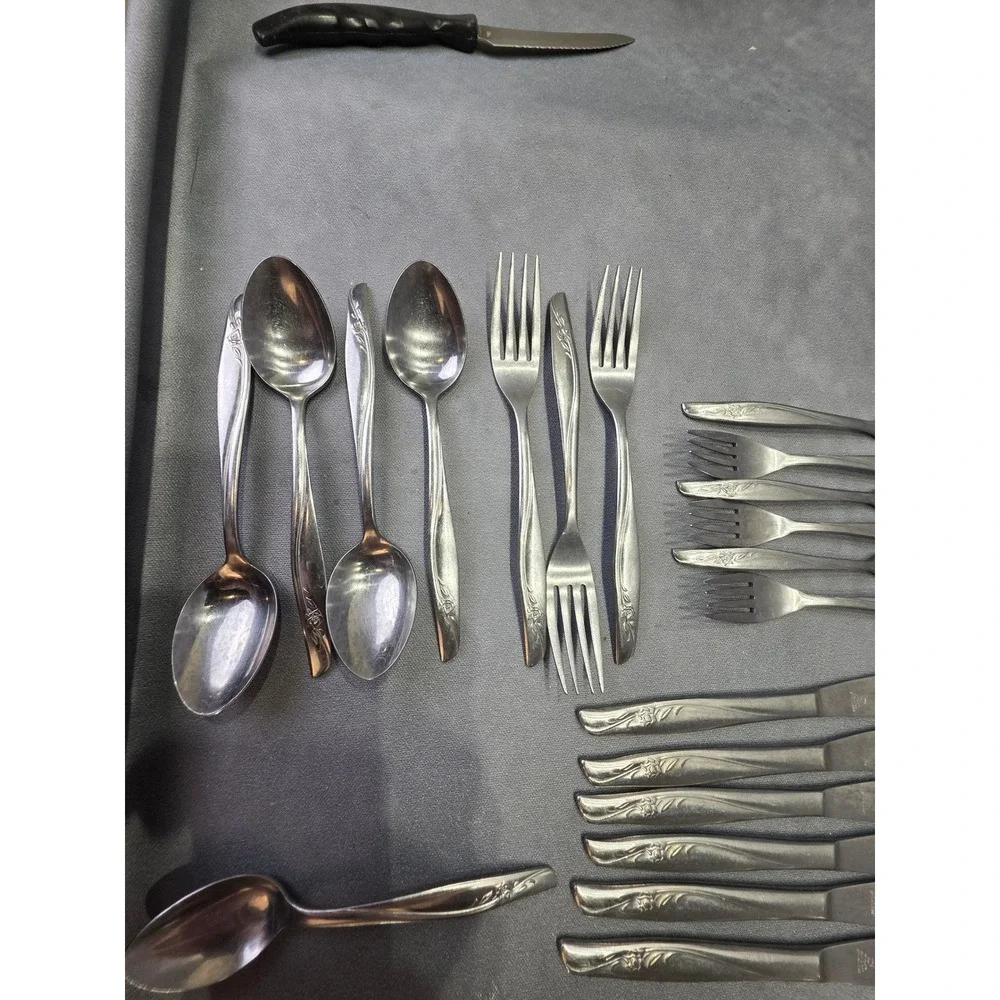 Dixon Deluxe Stainless Steel Flatware Set Floral Rose Pattern 18 Pieces